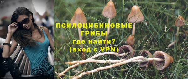 дурь Киреевск