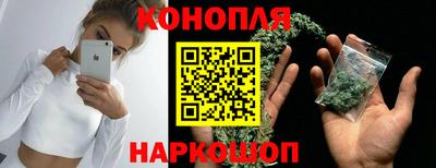 стаф Лесосибирск