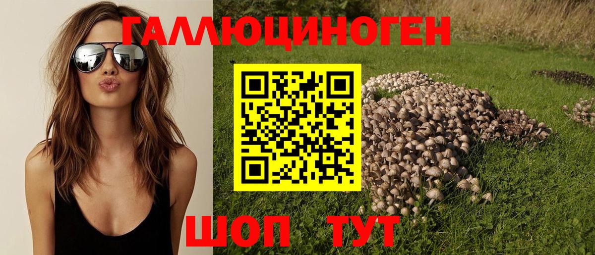 Калининград  Псилоцибиновые грибы мицелий  Псилоцибиновые грибы прущие грибы  что такое наркотик  Вход с VPN 